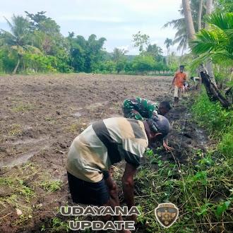 Dukung Ketahanan Pangan, Babinsa Koramil 1601-03 Turun Langsung ke Sawah