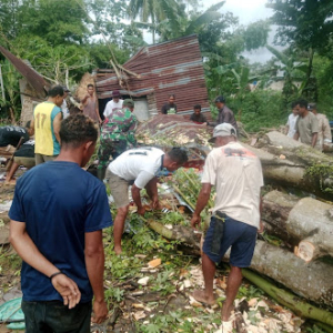 Babinsa Mbuit Sigap Tinjau Rumah Warga Tertimpa Pohon Akibat Angin Kencang