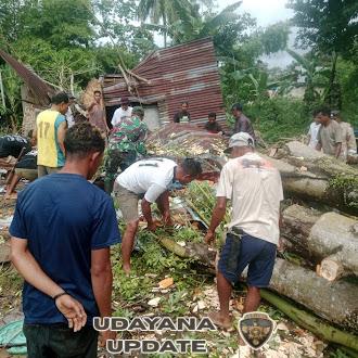 Babinsa Mbuit Sigap Tinjau Rumah Warga Tertimpa Pohon Akibat Angin Kencang