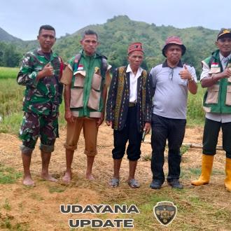 Babinsa Warloka Dampingi Panen Raya Padi, Wujud Sinergi TNI dan Petani