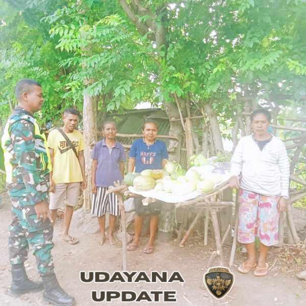 Tak Sekadar Jaga Wilayah, Babinsa Insut Bina Pedagang Raih Peluang Usaha Lebih Besar