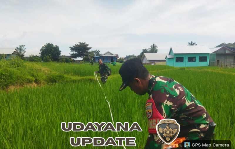 ‎Danramil 1607-03/Ropang Pimpin Peninjauan Lahan KDKMP, Babinsa Lakukan Pengukuran Detail