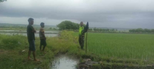 Babinsa Koramil 03/Pahunga Lodu Selesaikan Perselisihan Air Irigasi Warga