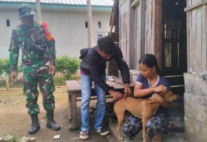 Babinsa Koramil 1630-02/Lembor Dampingi Vaksinasi Rabies di Kelurahan Tangge