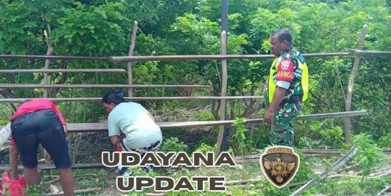 Tak Sekadar Mengawasi, Babinsa Turun Tangan Bantu Warga Bangun Pagar Kebun