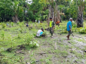 Lakukan Penghijauan, Babinsa Dan Pemerintah Desa Bersama Warga Tanam Anakan Pohon
