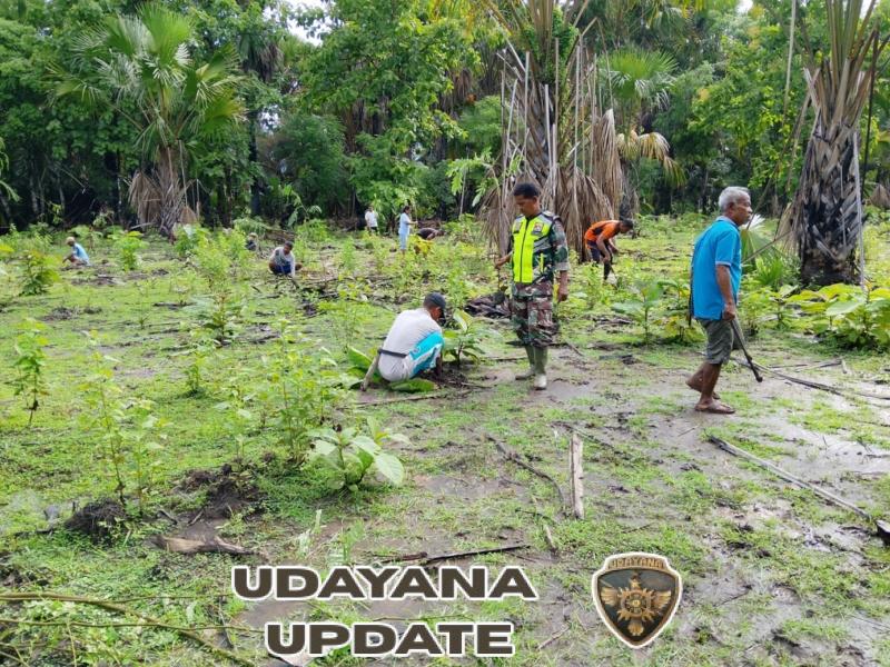 Lakukan Penghijauan, Babinsa Dan Pemerintah Desa Bersama Warga Tanam Anakan Pohon