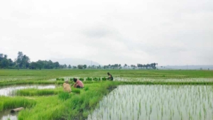 Tak Gentar Panas Menyengat, Babinsa Koramil 1618-05/Biut Perkuat Kebersamaan di Biboki Utara