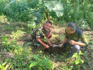Koramil 1609-05/Sukasada Pantau Penanaman 400 Pohon di Kawasan Hutan Desa Panj