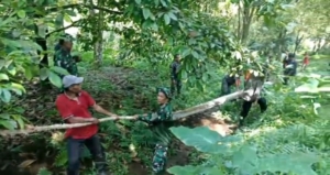 Babinsa Koramil 1609-05/Sukasada Bersama TNI–Polri Gotong Royong Angkut Tiang Listrik