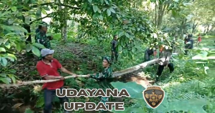 Babinsa Koramil 1609-05/Sukasada Bersama TNI–Polri Gotong Royong Angkut Tiang Listrik