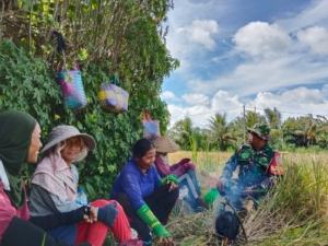 Turun Sawah, Babinsa Getakan Bantu Petani Panen Padi