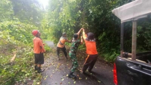 Gerak Cepat Babinsa Samplangan Tangani Pohon Tumbang, Akses Jalan Kembali Normal