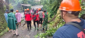 Babinsa Aan Turun LAngsung Atensi Musibah Pohon Tumbang Di Dusun Pasek