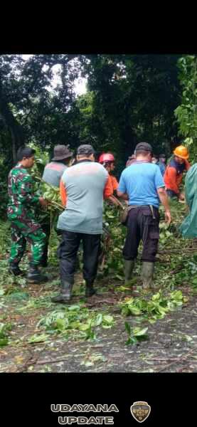 Pohon Tumbang Tutup Akses Jalan Punduk Dawa-Pesinggahan, Aparat TNI Polri Dan BPBD Klungkung Gelar Penanganan Serka Made Juli Wardana Gerak Cepat Tangani Musibah Pohon Tumbang Di Desa Pesinggahan
