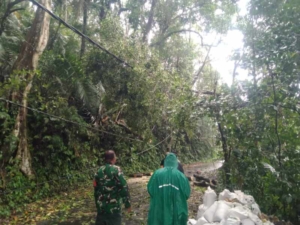 Babinsa Koramil 1623-06/Selat Bersama BPBD dan Warga Evakuasi Pohon Tumbang