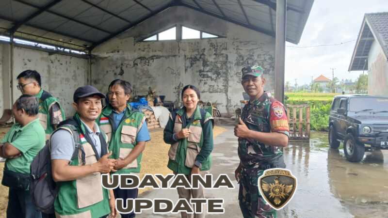 Dukung Kesejahteraan Petani, Babinsa Bona Kawal Program Pemupukan Berimbang dan Benih Unggul