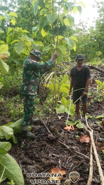 Babinsa Laksanakan Pengukuran Lahan KDKMP Desa Lekona Kecamatan Pantai Baru