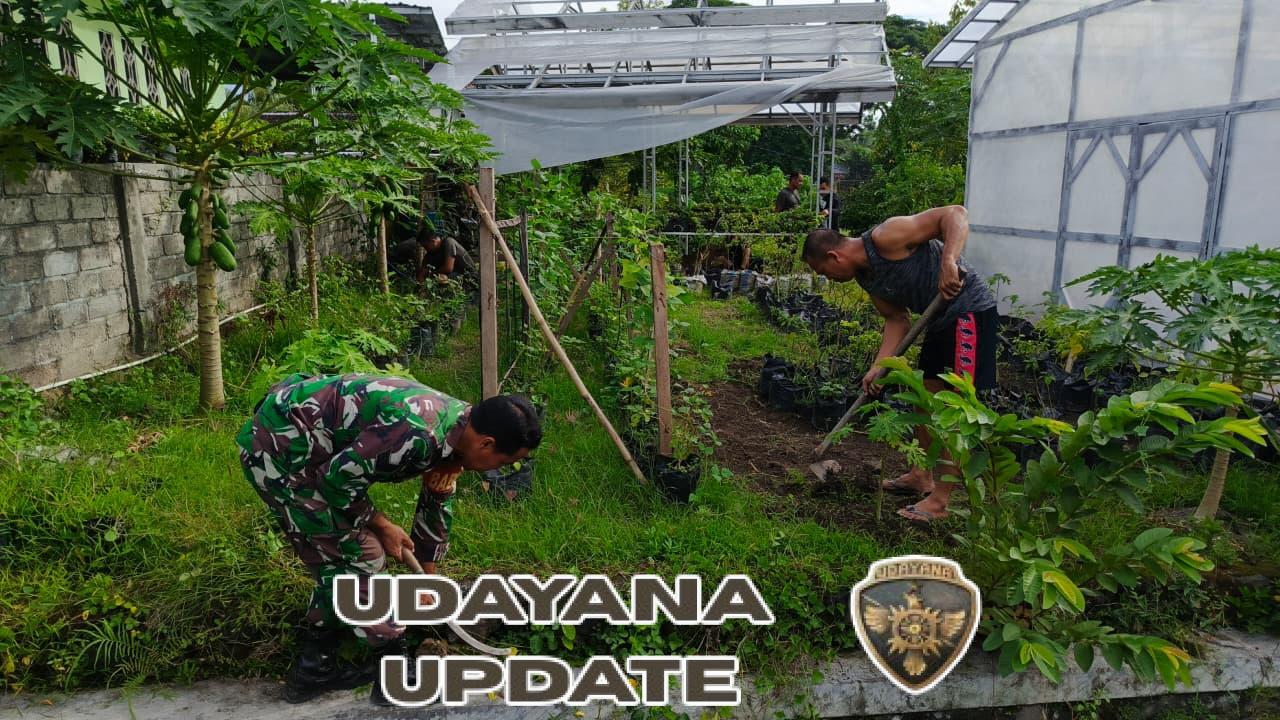 Koramil 1615-11/Aikmel Gencarkan Tanam Hortikultura di Lahan Gambut, Wujud Nyata Dukung Ketahanan Pangan Nasional
