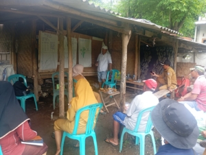 Sinergi TNI, PT Amman, dan Petani Kembangkan Pertanian Organik di Maluk