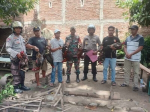 Pemilik Gelanggang Sabung Ayam Desa Tente Ditindak, Aktivitas Judi Dilarang Keras