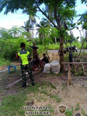 Pastikan Keamanan Wilayah, Babinsa Monitoring Pembangunan Koperasi Merah Putih