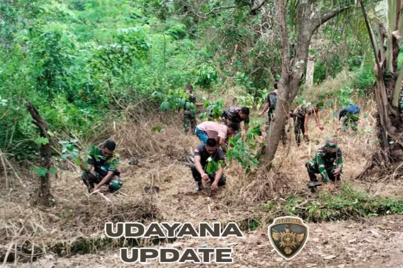 Hijaukan Desa Werang, Satgas TMMD Ke-127 Kodim 1603/Sikka Tanam Jambu Mete, Mahoni dan Alpukat