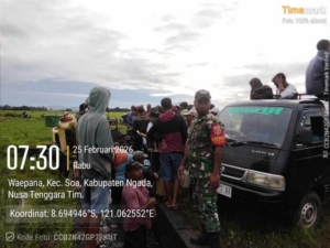 Babinsa Soa Kawal Pembagian Obat Pemberantasan Hama di Persawahan Malamasu