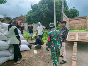 Poktan La-Temba Sukses Jual Gabah ke Bulog dengan Pendampingan Babinsa