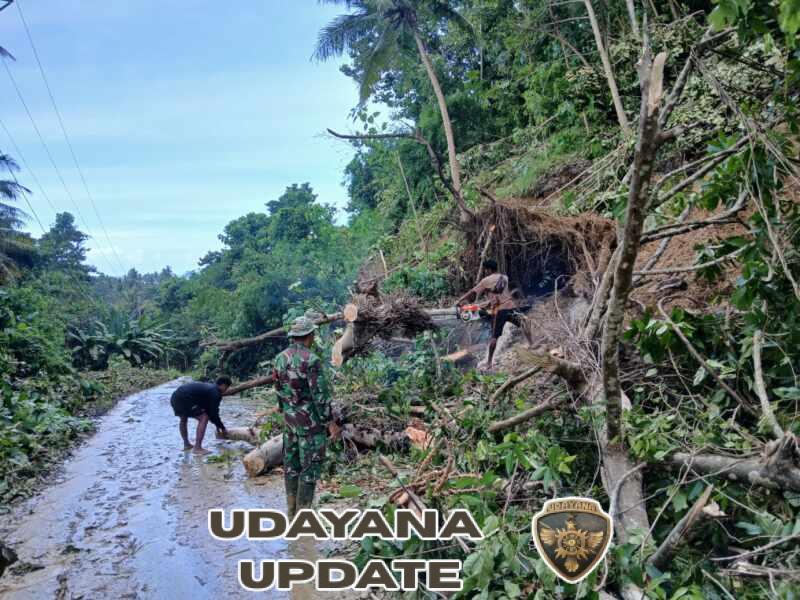 Cepat Tanggap, Babinsa Walakaka Atasi Pohon Tumbang di Laboya Barat