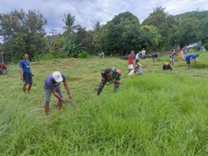 Pererat Kebersamaan, Babinsa Adonara Laksanakan Karya Bakti Bersama Masyarakat