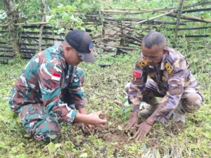 Sinergi Hijau di Garis Batas, Satgas Pamtas Yonarhanud 2 Kostrad dan UPF Tanam Pohon Bersama