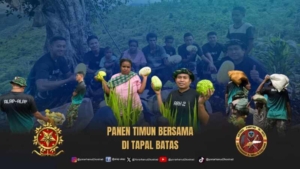 Lahan Subur Kemanunggalan Membaur, Satgas Pamtas Yonarhanud 2 Kostrad Bantu Warga Panen Timun di Perbatasan