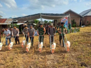 Dukung Swasembada Pangan Nasional, Penanaman Jagung Serentak Digelar di Desa Batu Putih