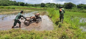 Percepat Masa Tanam, Babinsa Lewa Bantu Petani Bajak Sawah Gunakan Hand Traktor