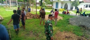 Babinsa Koramil 01/Lewa Bersama Jemaat GKS Laksanakan Karya Bakti di Halaman Gereja