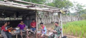 Sertu Ediyanto Turun ke Sawah, Jalin Komunikasi dengan Petani di Pinupahar