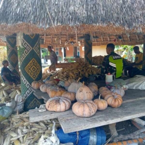 Dari Pendampingan ke Kesejahteraan, Babinsa Antar Warga Menuju Panen Sukses
