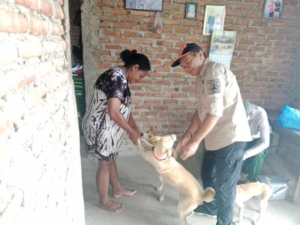 Cegah Rabies, Babinsa dan Dinas Peternakan Gelar Vaksinasi Hewan Peliharaan di Liwulagang