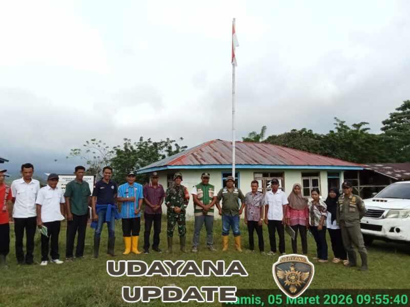 Babinsa Koramil 1630-02/Lembor Hadiri Panen Jagung Hibrida Program Ketahanan Pangan di Wae Jare