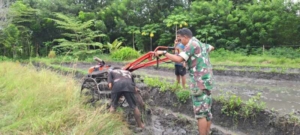 Babinsa Koramil 06/Karera Dampingi Petani Siapkan Lahan dengan  Menggunakan Traktor di Desa Kakaha