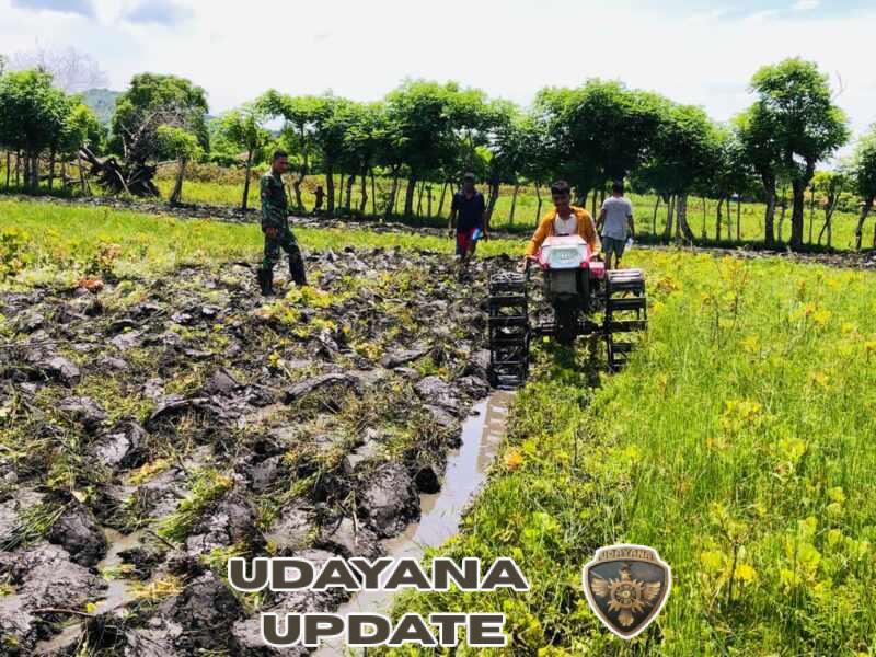 Babinsa Koramil 06/Karera Dampingi Petani Siapkan Lahan Sawah di Desa Praimadita