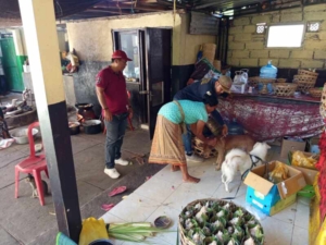 Babinsa Desa Pengastulan Monitoring dan Dampingi Vaksin Anti Rabies di Banjar Dinas Sari*