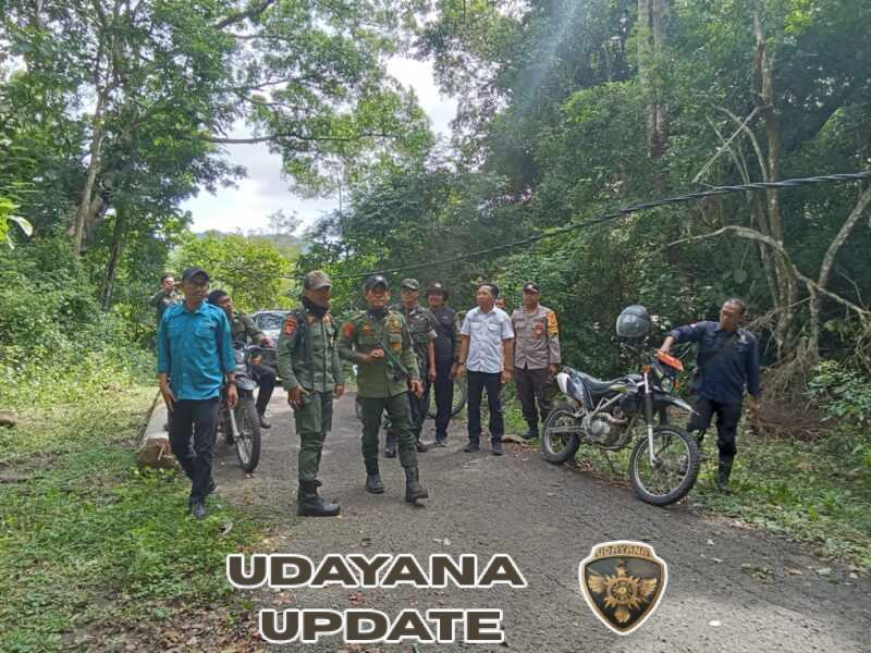 Operasi Lapangan Ungkap Indikasi Penebangan Liar di Kawasan Pegunungan