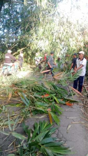 Babinsa 1623-06/Selat Sigap Bersama Masyarakat Atasi Bambu Tumbang yang Menghalangi Jalan