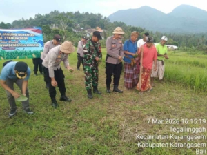 Babinsa 1623-01/Karangasem Dukung Program Ketahanan Pangan Melalui Penanaman Jagung Serentak
