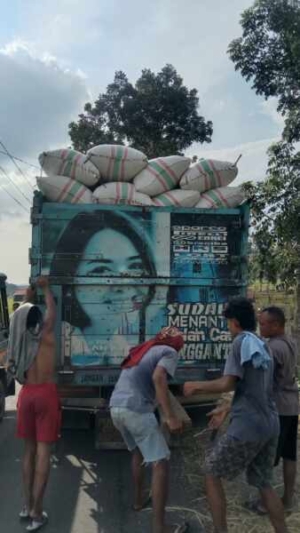 Babinsa Kempo dan Bulog Serap 10,5 Ton Gabah Petani