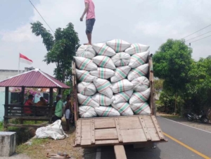 Babinsa Kempo dan Bulog Serap 10 Ton Gabah Petani