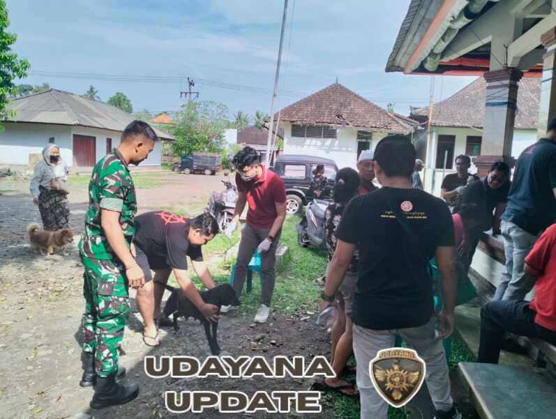 Sinergi TNI dan Pemerintah Lindungi Masyarakat, Babinsa Desa Buahan Dampingi Vaksinasi Rabies