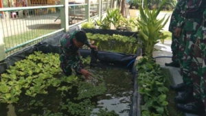 Koptu Ma’ruf Gunakan Bak Plastik untuk Pemeliharaan Lele Sederhana dan Efektif